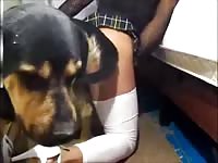 Slut made her black dog fuck her pussy forced beastiality