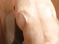 Beastiality porn film with a big dog