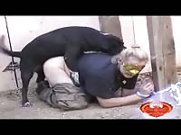 Black dog banging a MILF from behind beastiality xxx