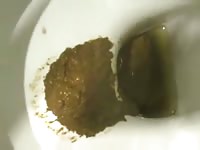 Camera caught a slut taking a shit on the toilet bowl