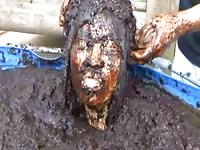 Man getting burried in poop pool