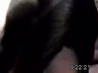 K9 dog sex with a big ass bitch