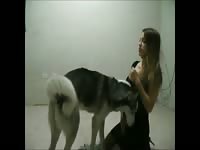 Teen animal sex with canine dildo