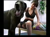 Naughty whore enjoys her canine dildo