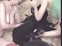 Lesbian beastiality sex with dog