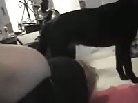 Amateur dog sex with a big ass bitch