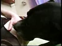 Busty teen beastiality lover rides a dog's cock