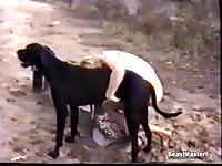 Outdoor dog sex with a matured bitch