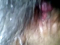 Furry pet porn with a swollen pussy
