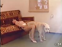 Pink dick penetrates a tight pussy homemade beastiality