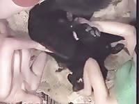 Sucking a hard canine dildo
