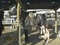 Teen animal sex with a giant horse cock