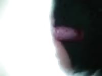 Dog lover jacking off a dog