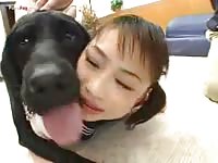 Asian beastiality student with a black dog