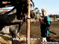 Free zoophilia film of blonde and horse