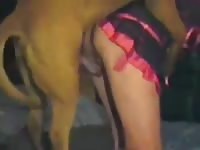 Brown dog fucks a k9 lady