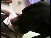 Dog's red dick fucking a tattooed beastie gal
