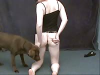 Horny slut jacking off her dog with her toys