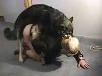 Naughty couple have threesome with dog