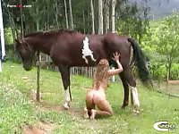 Teen jerking off a horse's dick