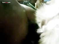 Furry pet porn with cute dog