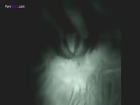 Camera caught a man and an animal sex