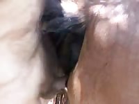 Huge zoopussy of a horse got penetrated