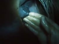 Night sex with an animal xxx