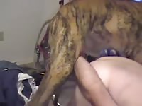 Free dog porn wrecking a tight ass hole