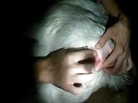 Free beastiality movies fingering a horse