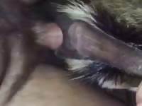 Homemade beastiality dog sex with gay