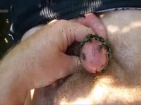 Small cock infested by insect porn