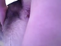 Furry pet porn with dog's butthole