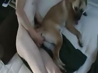 Dog and man on teen animal sex