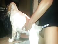 White dog got fucked by beastiality lover