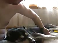 Gay beast jacking off a dog