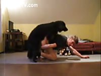 Webcam k9 dog sex with gay