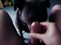 Dog gives blowjob to horny pet lover