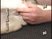 Man fucking his dog hardcore animal porn