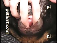 Amateur dog sex fingering a pet