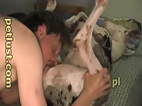 Cute guy tasting a dog creampie