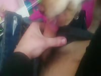 Pet dog sucking a dick beastiality taboo