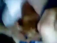 Gay's ass got licked beastiality xxx