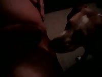 Dog giving blowjob to big dick