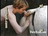 Young teen boys on animal porno