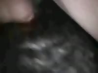 Hardcore dog sex with big cock