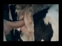 Hardcore animal sex with a cowboy