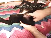 Animal sex clips fingering a dog