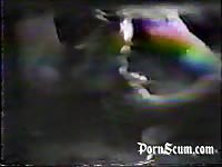 Amateur animal sex in the dark