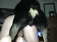 Canine dildo smashing in gay's ass